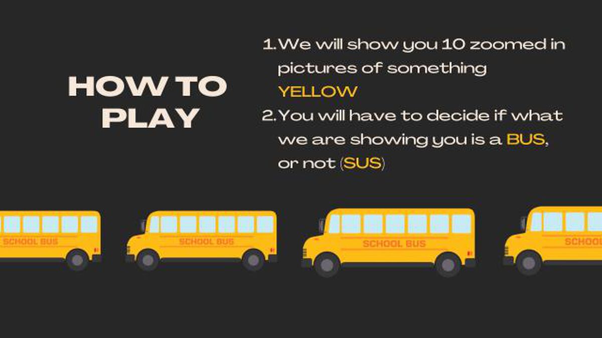 Bus or Sus? image number null